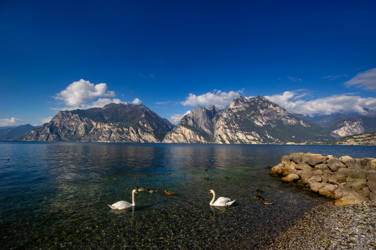 Blogbejegyzés képe